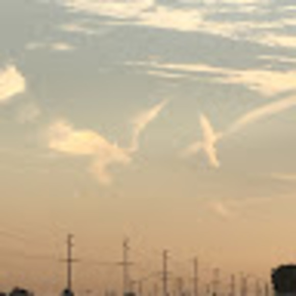 Meet your Posher, Linhsan - Picture 1 of 1